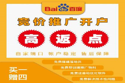 竞价广告投放策略，代运营公司的成功实践